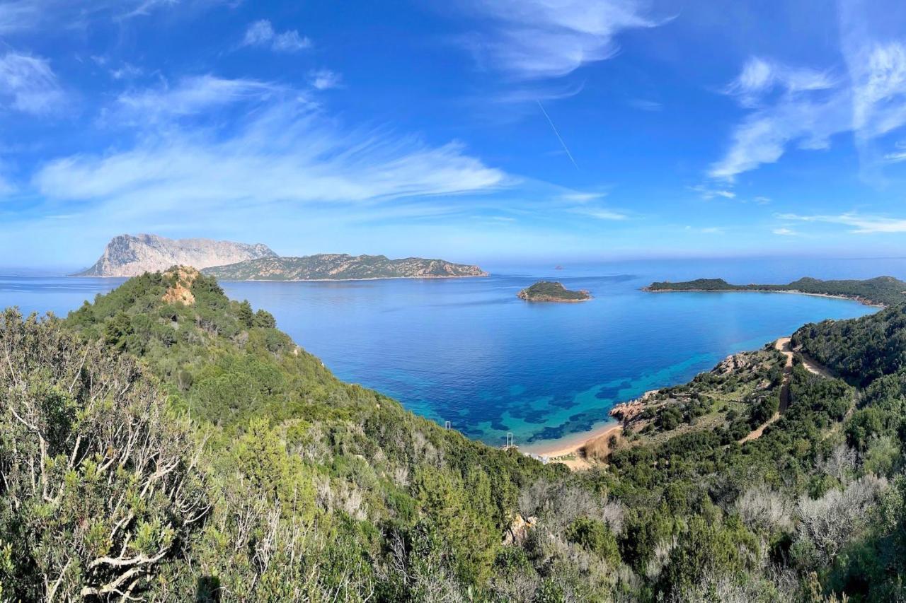 Apartmán San Teodoro Punta Est Curatissimo Bilocale Capo Coda Cavallo Exteriér fotografie