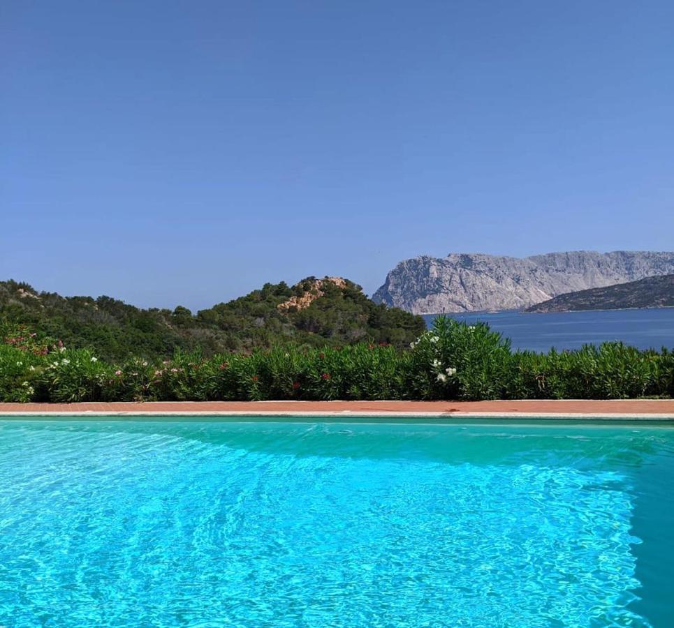 Apartmán San Teodoro Punta Est Curatissimo Bilocale Capo Coda Cavallo Exteriér fotografie