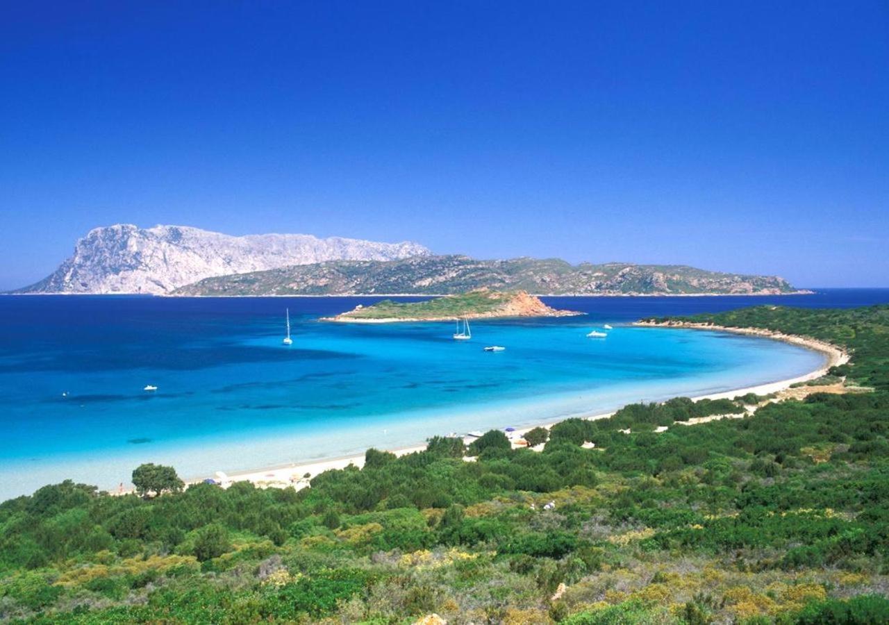 Apartmán San Teodoro Punta Est Curatissimo Bilocale Capo Coda Cavallo Exteriér fotografie