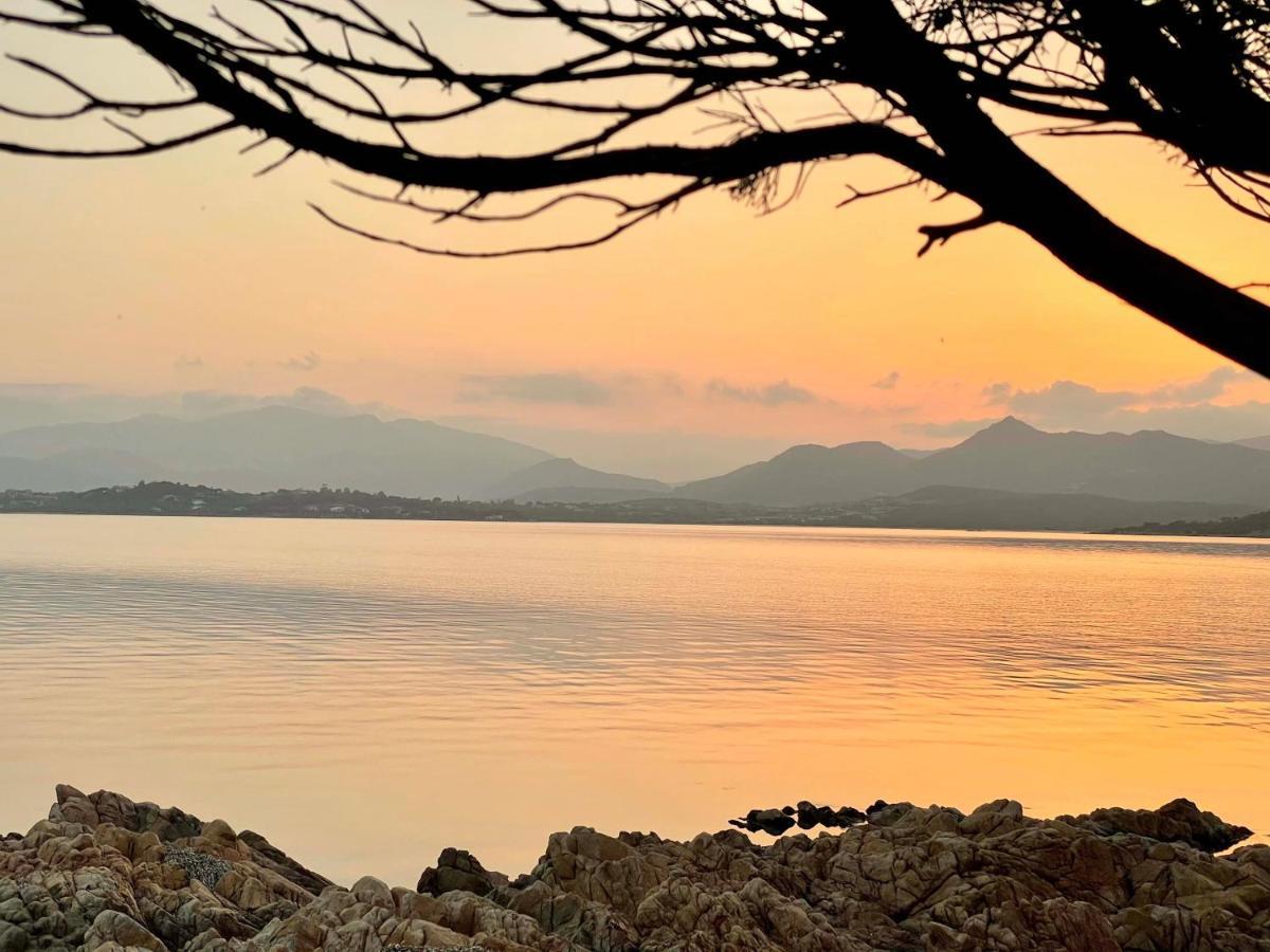 Apartmán San Teodoro Punta Est Curatissimo Bilocale Capo Coda Cavallo Exteriér fotografie