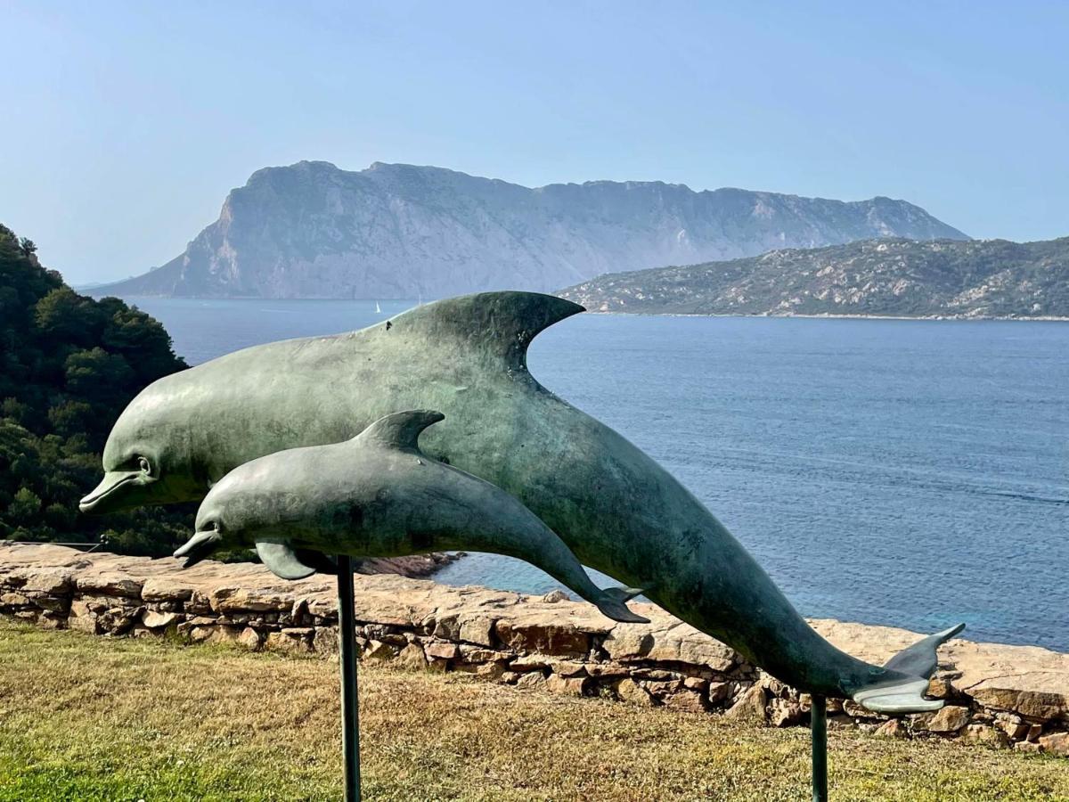 Apartmán San Teodoro Punta Est Curatissimo Bilocale Capo Coda Cavallo Exteriér fotografie