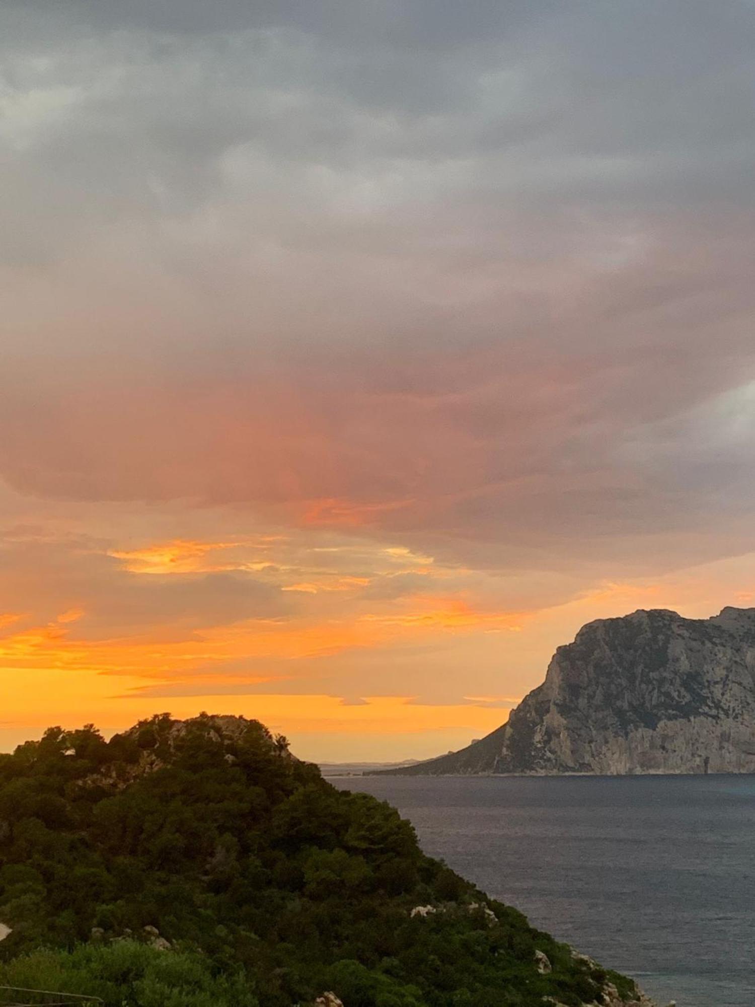 Apartmán San Teodoro Punta Est Curatissimo Bilocale Capo Coda Cavallo Exteriér fotografie